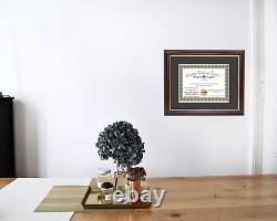 13X17 Mahogany Gold Rim Diploma Frame with Black Mat Glass and Installed Wall Ha