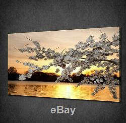Beautiful Gold Sunset Cherry Blossom Box Canvas Print Wall Art Picture