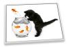 Black Cat Gold Fish White CANVAS FLOATER FRAME Wall Art Print Picture