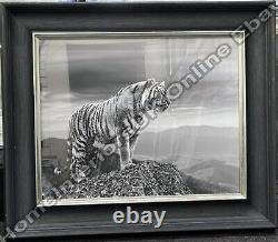 Black & white tiger on cliff with liquid art & black cove frame décor picture