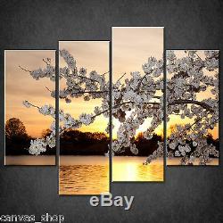 Cherry Blossom Gold Sunset Cascade Canvas Print Wall Art Picture Ready To Hang