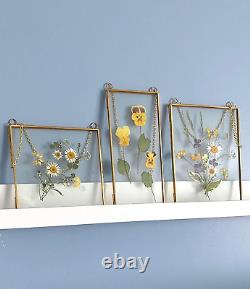 Double Glass Frame for Pressed Flowers, Leaf and Artwork Set of 3 Hanging Pict