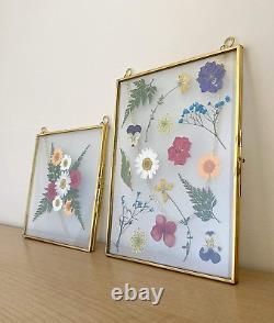 Double Glass Frame for Pressed Flowers, Leaf and Artwork Set of 3 Hanging Pict
