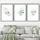 Framed BLUE GREEN Leaves Gold effect Wall Art Print Picture Print Set Of 3