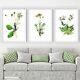 Framed Set Of 3 Yellow Green Floral Leaves Gold effect Wall Art Print Picture