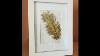 Gold Feather Picture Frame Diy Tutorial