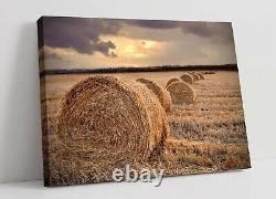 Golden Countryside 1 Canvas Wall Art Float Effect/frame/picture/poster Print