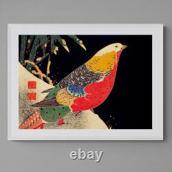 Japanese Golden Pheasant Bird Colourful Wall Art Print Poster