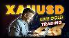 Live Gold Xauusd Trading Gold Free Signals 17 01 2024