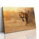 Male Tiger in India Canvas Print Picture Framed Wall Art Poster Paper Golden