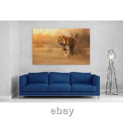 Male Tiger in India Canvas Print Picture Framed Wall Art Poster Paper Golden