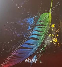 Multicolour feather wall art décor pictures with liquid art & mirror frames