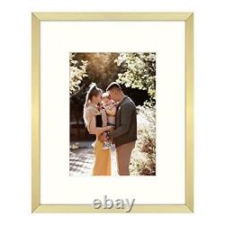 Picture Frame Aluminum Shiny Brushed Display 8x10 11x14 16x20 Photos with Mat