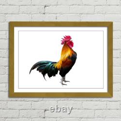 Rooster Cock Cockerel Canvas Framed Print Picture Wall Art