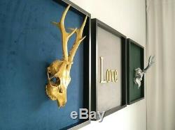 Set of wall decorations, deer skull, gold and silver antlers, black frame 50x50cm