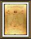 The Vitruvian Man by Leonardo Da Vinci Framed canvas Wall art giclee paint