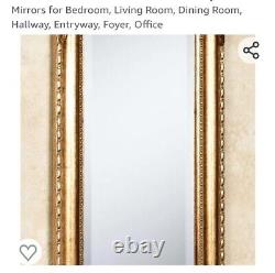 Touch of Class Royal Acanthus Wall Mirror, Gold Glass and Resin