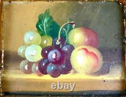 Vintage Gold Ornate Framed Still Life Fruit Oil Painting Beautiful Wall Art Gift