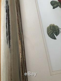 Vintage Rustic redoute Botanical Prints Roses Wall Art Framed 6 Lot Ivory Gold