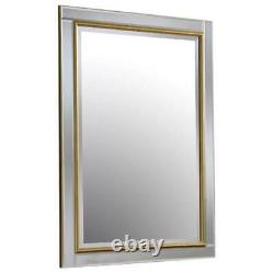 Yearn Accent Wall Mirror Frame Resin Silver Gold, 56cm H x 46cm W x 2.3cm D